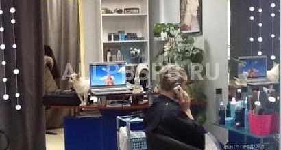 Продажа:  Салон парикмахерская - Бизнес24 