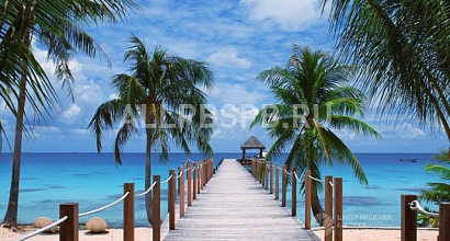 Готовый бизнес  туристическое агентство в г. реутов