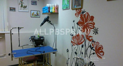 Продажа:  продается новый зоосалон