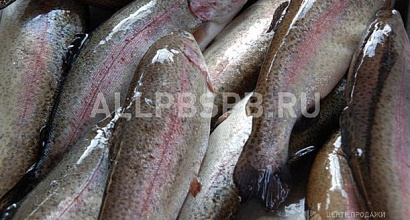 Продается  продам рыбу оптом