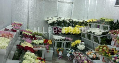 Продажа:  цветочный магазин 