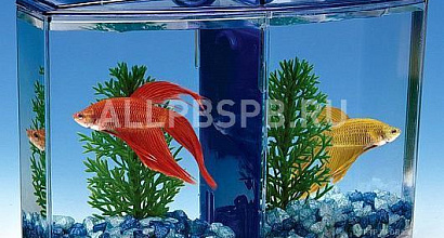 Продается  зоомагазин