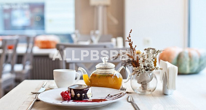 Действующее кафе на одной из центральных улиц Санкт-Петербурга