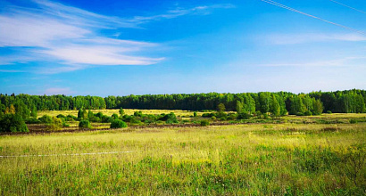 Продается земельный участок в Новгородской области