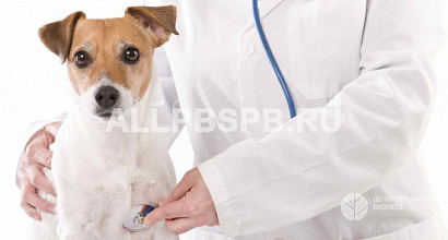 Действующая многопрофильная ветеринарная клиника