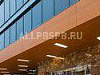 Аренда:  Сдается офис 230 м 