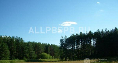 Продажа:  Бизнес, кто продаёт