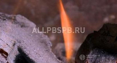 Продажа:  Бизнес по продаже торфяных брикетов