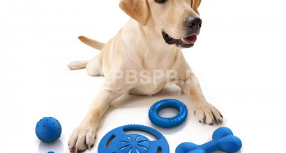 Магазин зоотоваров