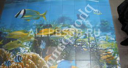 Готовый бизнес  декольный принтер ricoh 430+ для фотоплитки