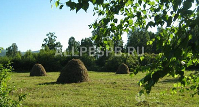 Готовый бизнес  кфх. семейная ферма