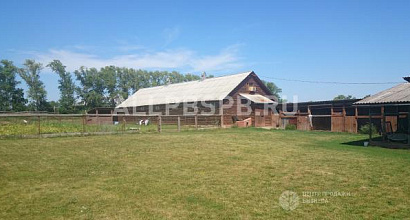 Продается  фермерское хоз. под коневодство или другое. + дом