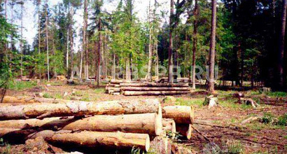 Продается  продается лесозаготовительное предприятие 