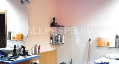 Продажа помещения в собственность с салоном красоты .