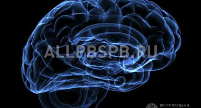 Аренда:  Аренда моих мозгов - весь багаж знаний 