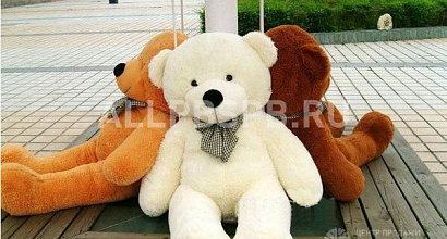 Продажа:  интернет-магазин плюшевых медведей 