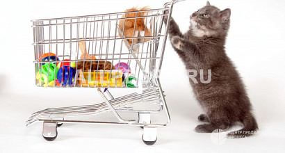 Интернет-магазин зоотоваров с многолетней репутацией