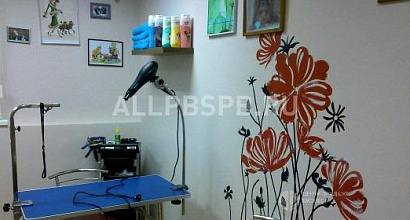 Готовый бизнес  зоосалон в мытищах, долгосрочный договор