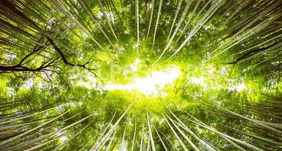 Готовый бизнес  поддержка для создания и развития благотворительно