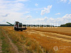 Готовый бизнес  фермерское хозяйство в рязанской области