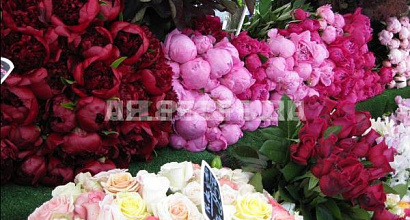 Магазин цветов и подарков в Приморском районе