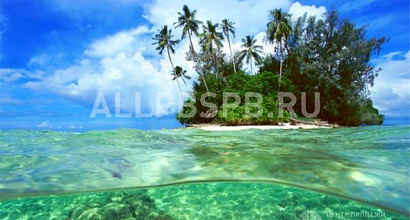 Готовый бизнес  продается прибыльное турагентство в юао 