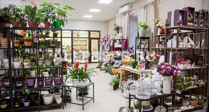 Франшиза цветочного магазина