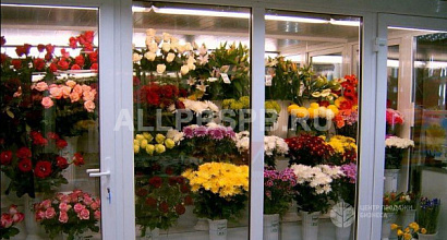 Магазин Цветов