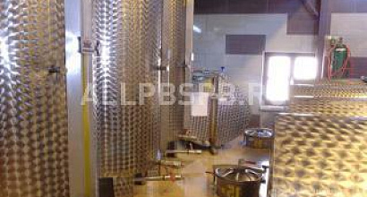 Продажа: Готовый бизнес  производство оливкового масла