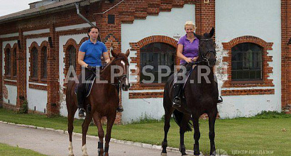 Продажа:  Интересный бизнес Конно спортивный комплекс