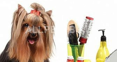 Продажа:  Бизнес по франшизе от сети зоосалонов &quot;Groom&quot;