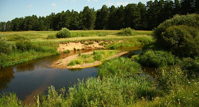 Продается  идеальная усадьба для пчеловодства, скотоводства