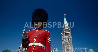 Продажа:  Продажа двух школ английского языка в сао 