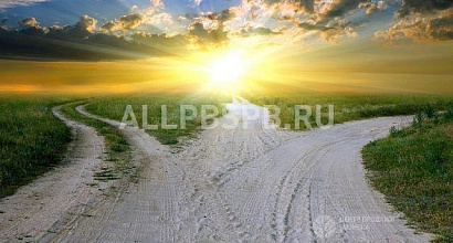 Продажа:  сельское хозяйство