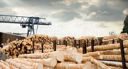 Готовый бизнес  лесопилка юго-западное направление, 90 км от мкад