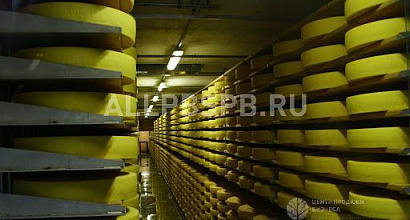 Продажа:  сыродельный завод