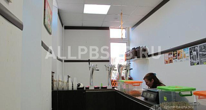 Готовый бизнес  магазин разливного пива