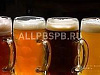 Продается  магазин разливных напитков