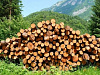 Деревообрабатывающий цех в Вологодской области