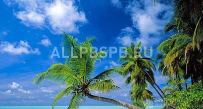 Продажа:  туристическое агентство м. пушкинская 