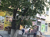 Аренда:  Аренда ПСН