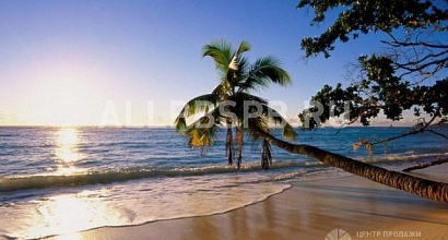 Готовый бизнес  туристическая фирма + интернет магазин путевок