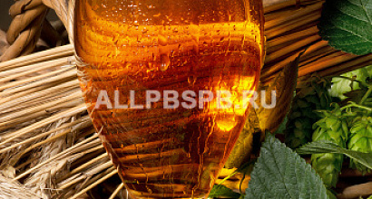 Прибыльный магазин разливного пива