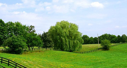 Продается ППА от КИО на земельный участок в Красногвардейском районе