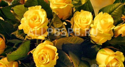 Готовый бизнес  магазин цветов на м. пятницкое шоссе