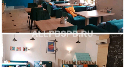 Семейное кафе на Васильевском острове