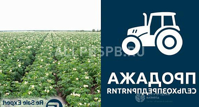 Готовый бизнес  сельхозпредприятие 