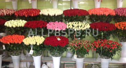 Аренда:  Сдам торговое помешение