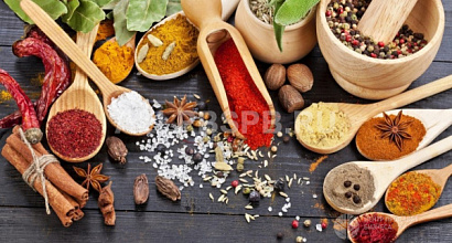 Фабрика по производству приправ и специй