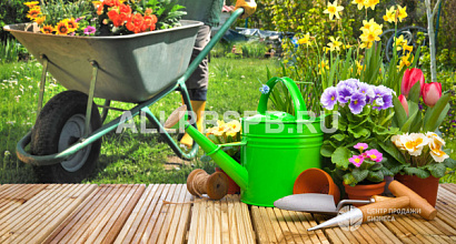 Интернет-магазин товаров для дачи и сада